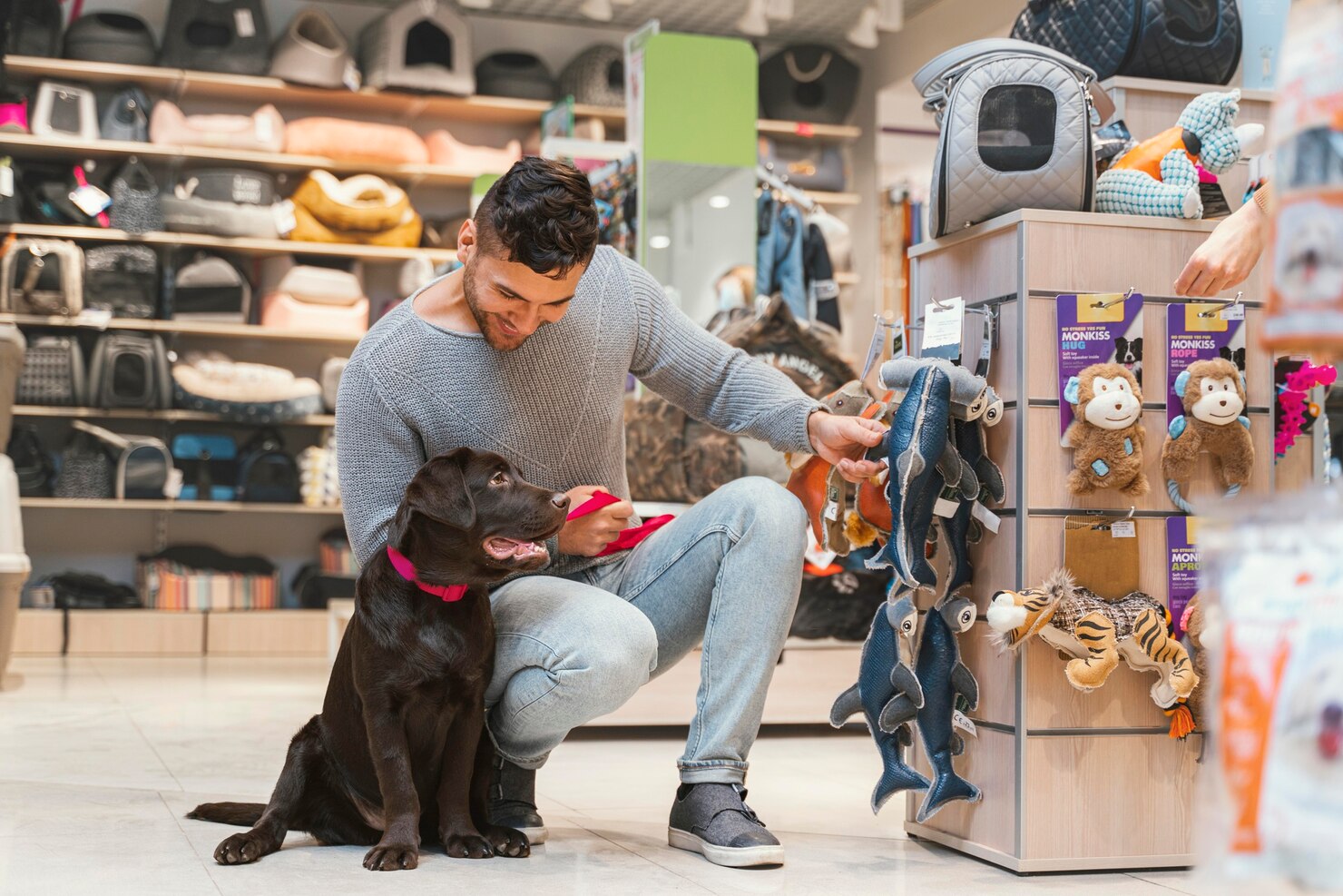 Multi-Store Pet Shop Management